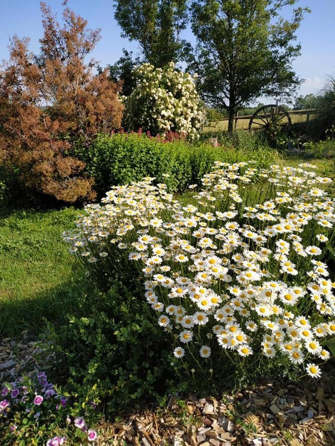 Bed and Breakfast Les Bienfaits D'Harmonium La Chapelle-Gaudin Esterno foto